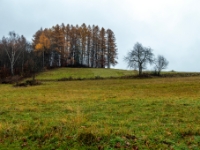 Dubne
